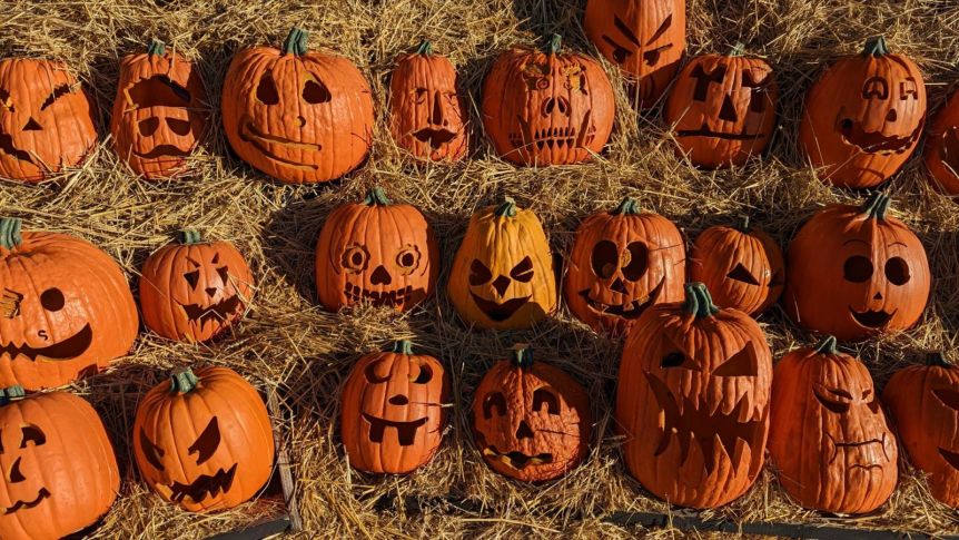 Rows of carved jack-o’-lantern pumpkins resting on straw