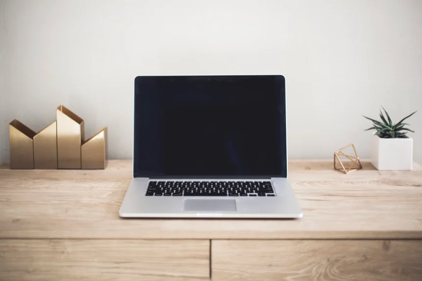 Laptop on a light wooden desk with a small potted plant